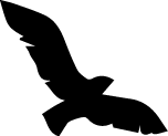 Haven DE LLC Logo